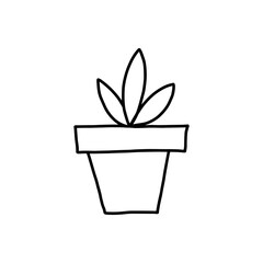 flower pot hand drawn illustration