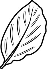 Obraz premium Element Leaves Line Art 