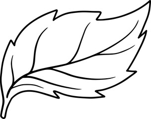 Obraz premium Element Leaves Line Art 