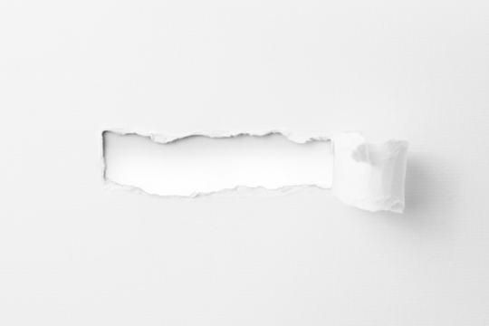 Torn paper with the curled ripped sides