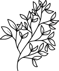 Leaves Line Art Illustration
