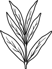 Modern Leaf Line Art
