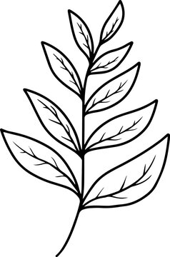 Leaves Line Art Illustration
