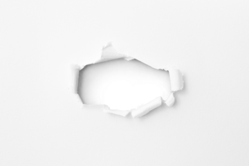 Torn paper with the curled ripped sides