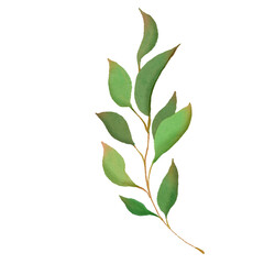 handdrawn watercolor leaf floral illustration