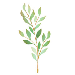 handdrawn watercolor leaf floral illustration