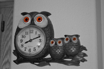 Orange Eyed Owls