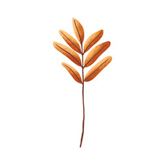leaf illustration in orange color for autumn design element