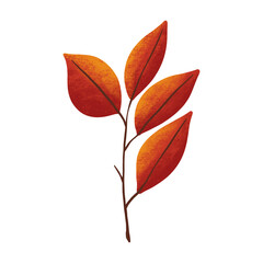 leaf illustration in orange color for autumn design element