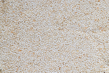 a large number of white dried sesame seeds