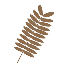 Dark brown leaf line drawing, Transparent background.