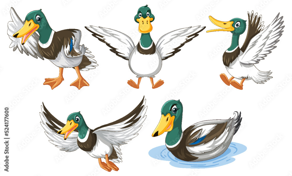 Poster set of duckling doing different activities