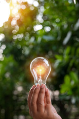 Light bulbs that grow, in the concept of energy in nature. © maeching