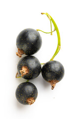 Black currants with leaves isolated on white background with clipping path