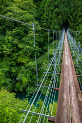 夢の吊り橋