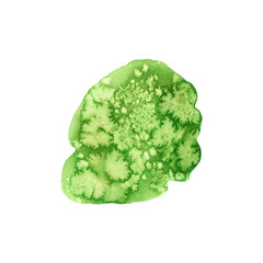 Abstract green watercolor stain, isolated. Watercolor hand drawn texture for backgrounds, cards, banner and flyers