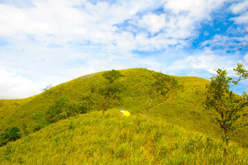 Panoramic view of green hill on a sunny summer day. Hiking adventure concept