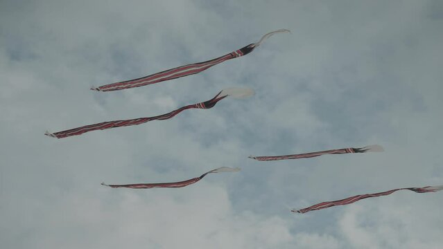 Balinese Traditional Kites JANGGAN (Red White Black Long Tail Bird Dragon) on Bali Kite Festival Summer Blue Sky Slow Motion