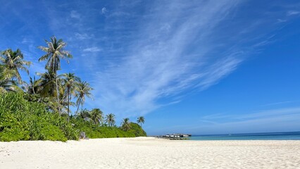 Tropical sand beach with palm trees and blue sky