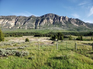 wildlife in the west