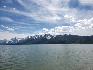 Obraz premium wildlife in the west