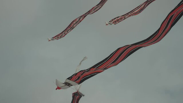 Balinese Traditional Kites JANGGAN (Red White Black Long Tail Bird Dragon) on Bali Kite Festival Summer Blue Sky Slow Motion