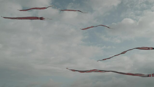 Balinese Traditional Kites JANGGAN (Red White Black Long Tail Bird Dragon) on Bali Kite Festival Summer Blue Sky Slow Motion