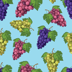 Grape. Seamless pattern with the image of green and blue grapes. Grape pattern. Seamless pattern with fruit. Vector illustration