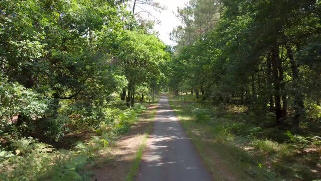 Piste cyclable dans Les Landes