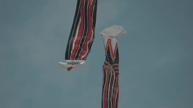 Balinese Traditional Kites JANGGAN (Red White Black Long Tail Bird Dragon) on Bali Kite Festival Summer Blue Sky Slow Motion