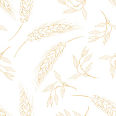 Botanical background. Vector seamless pattern with yellow ears of oats and wheat outline on white.