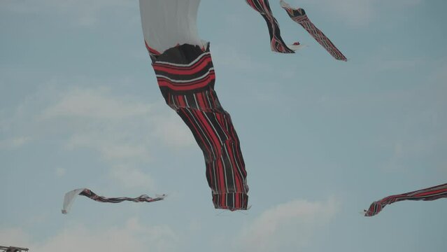 Balinese Traditional Kites JANGGAN (Red White Black Long Tail Bird Dragon) on Bali Kite Festival Summer Blue Sky Slow Motion