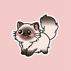 Cute Cat Illustration