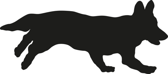 Black dog silhouette. Running pembroke welsh corgi puppy. Pet animals. Isolated on a white background.