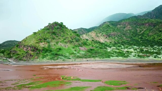 Beautiful Landscape Of Lake Natron With Tourists Swimming In The Water In Tanzania - aerial drone shot