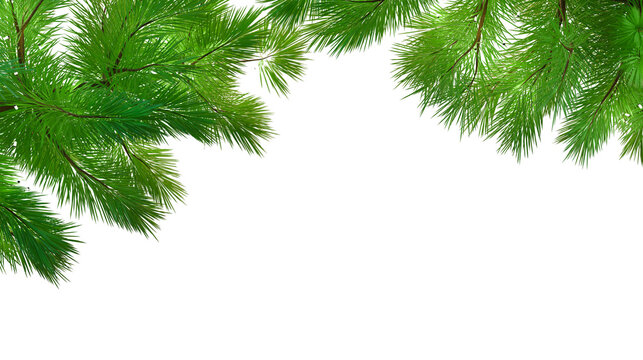 Border with realistic Christmas tree branches, 3d render. Pine branches, frame. Christmas design on a transparent background, PNG file