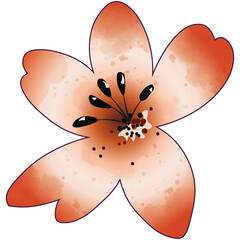 Watercolor flower png