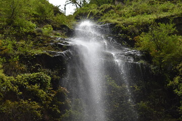 Fototapeta na wymiar Beautiful Waterfall