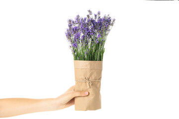 Female hand holds lavender in craft paper, isolated on white background