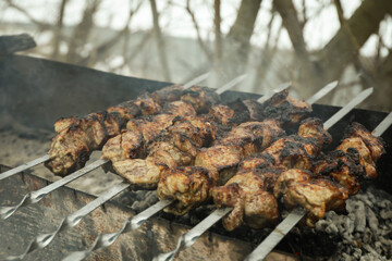 Tasty shashlik is fried on charcoal outdoor