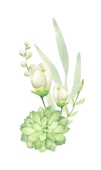 Floral bunches. Succulent bouquets. Watercolor illustration. Romantic floral hand drawn illustration.
