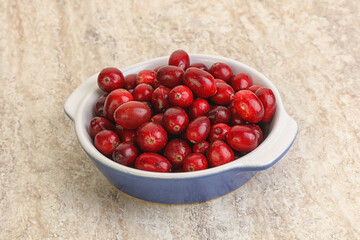 Ripe sweet tasty cranberry in the bowl
