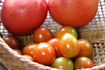 カゴに入った赤いトマト