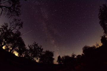 Naklejka premium Milchstraße im Dunkelsteinerwald