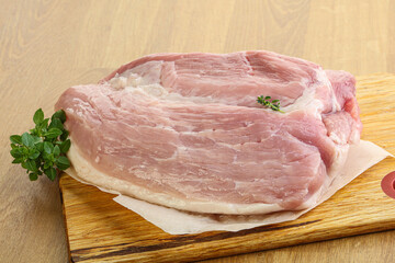 Piece of the raw pork meat