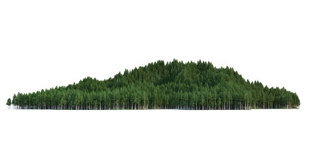 Coniferous forest on a transparent background  © jomphon