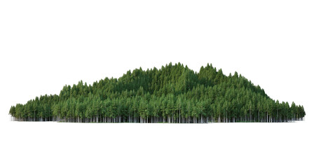 Coniferous forest on a transparent background  © jomphon