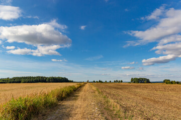 Obraz premium Road betwin green grass field under white clouds and blue sky.
