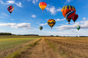 Naklejka premium Multicolored hot air balloons fly in blue sky with white clouds over green field.