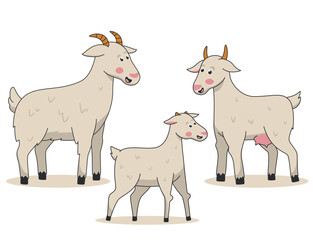 A family of goats stands on a white background